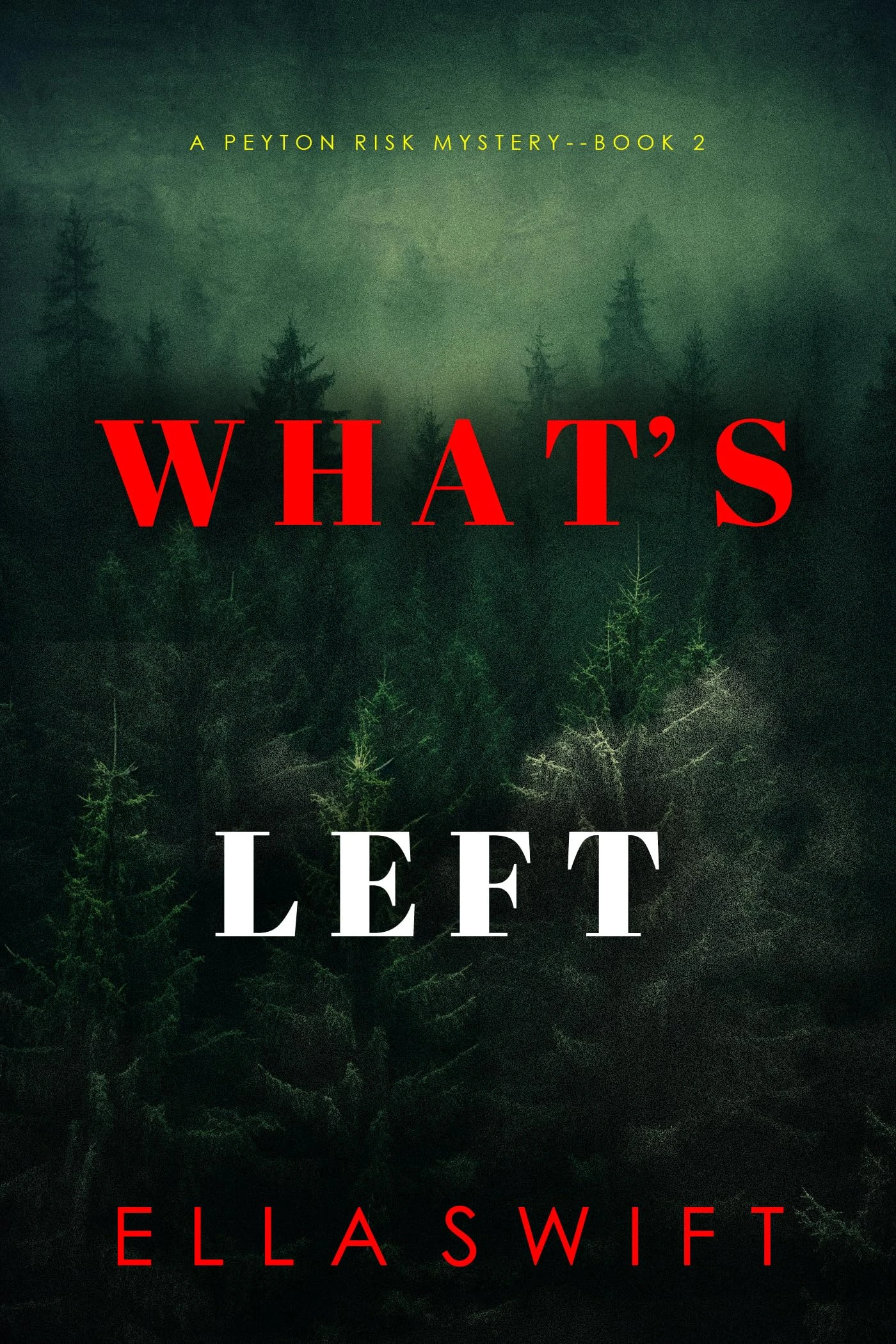 What’s Left (A Peyton Risk Suspense Thriller—Book 2)