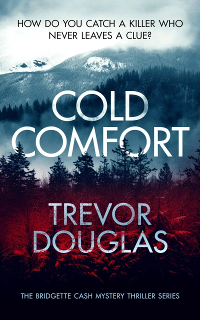 Cold Comfort: a mystery thriller with twists (Bridgette Cash Mystery Thriller Book 1)